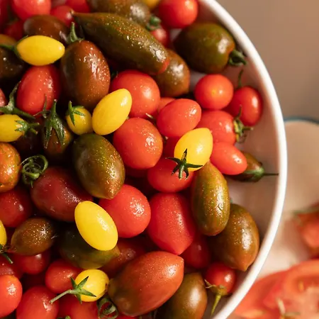 酒店 Blu Luxury Unique - Adults-only 4*